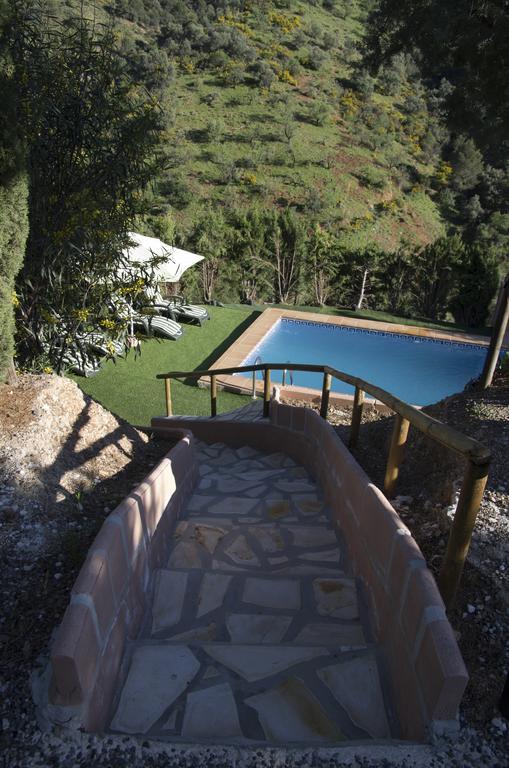 Rural Montes Malaga: Finca Pedregales 部屋 写真